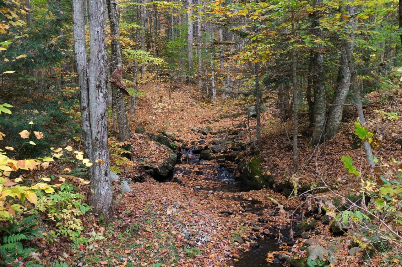 Ski In/Out Spruce Glen Townhomes On Great Eastern Trail Killington Εξωτερικό φωτογραφία