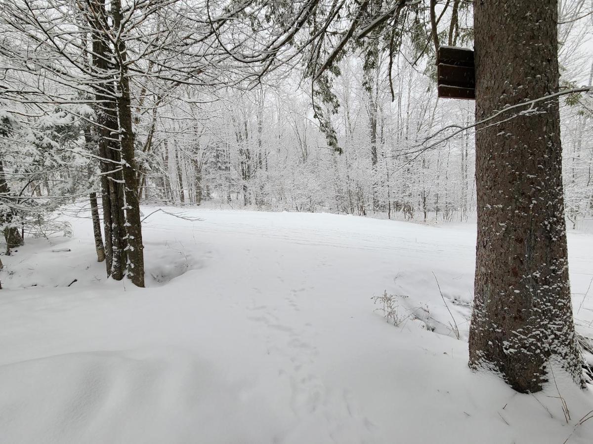 Ski In/Out Spruce Glen Townhomes On Great Eastern Trail Killington Εξωτερικό φωτογραφία