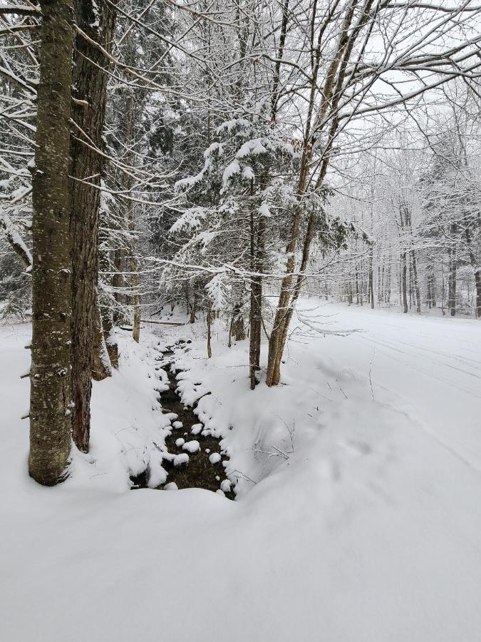 Ski In/Out Spruce Glen Townhomes On Great Eastern Trail Killington Εξωτερικό φωτογραφία